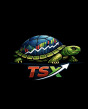 TSX Holdings logo
